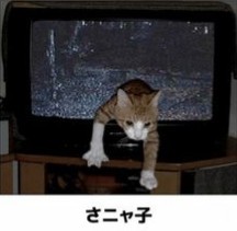 ウケた画像w：コメント3117