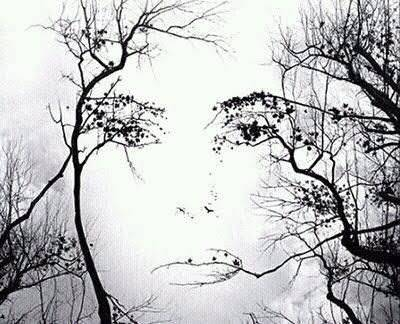 ウケた画像w：コメント3156