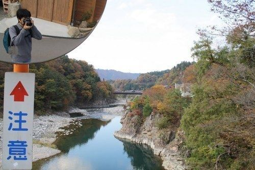 ウケた画像w：コメント3199