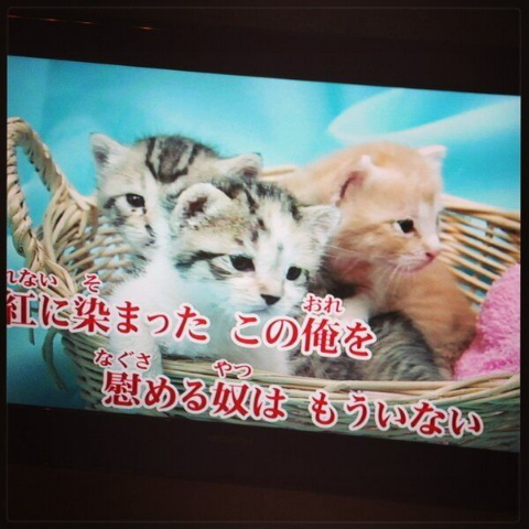 ウケた画像w：コメント3225