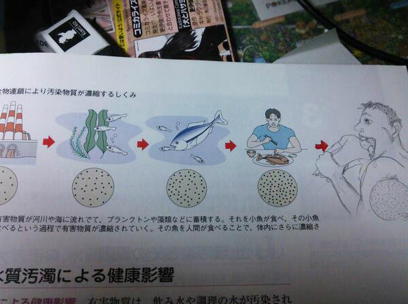 ウケた画像w：コメント3215