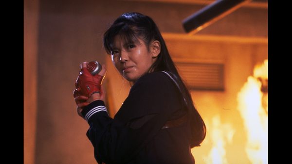 南野陽子の夫　1.8億円使い込みトラブルで刑事告訴へ：コメント14