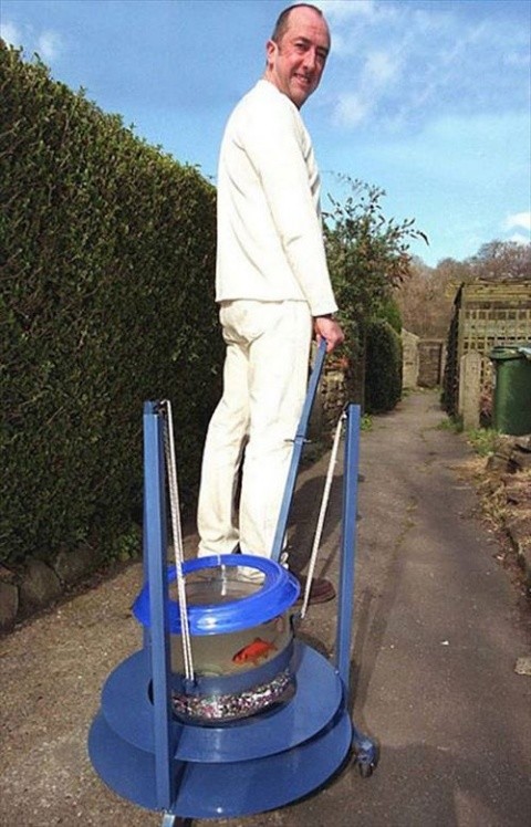 ウケた画像w：コメント2911