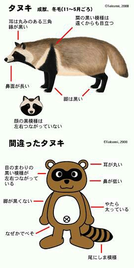 ウケた画像w：コメント2919