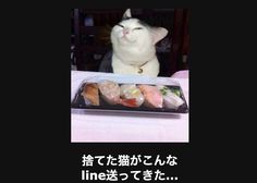 ウケた画像w：コメント2946