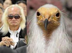 ウケた画像w：コメント2940