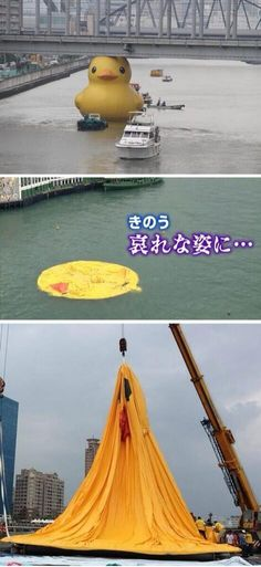 ウケた画像w：コメント2989