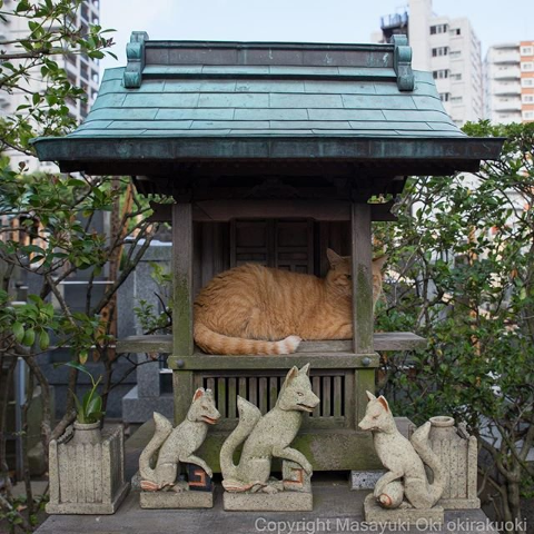 ウケた画像w：コメント2983