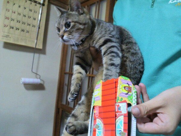 ウケた画像w：コメント3232