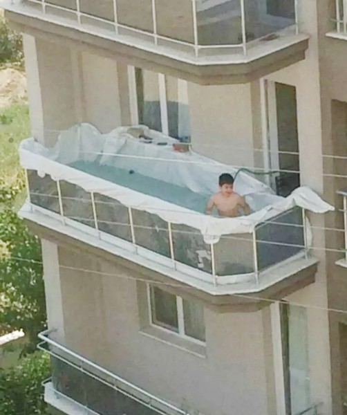 ウケた画像w：コメント3234