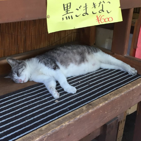 ウケた画像w：コメント3358