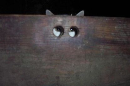 ウケた画像w：コメント3356