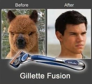 ウケた画像w：コメント3394