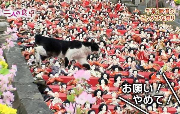 ウケた画像w：コメント3265