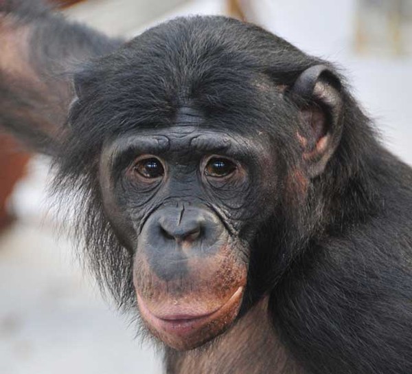 斎藤洋介、オレオレ詐欺被害に遭っていた! 騙された経緯を告白:コメント8