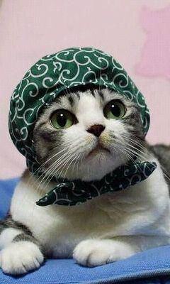 ウケた画像w：コメント3304