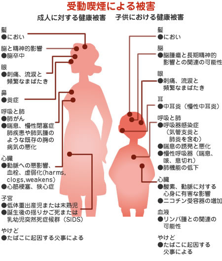 「ルール守っているのに、なぜ...」　過熱する「タバコ叩き」、喫煙者の本音は：コメント1043