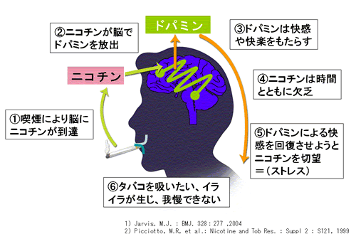 「ルール守っているのに、なぜ...」　過熱する「タバコ叩き」、喫煙者の本音は：コメント1112