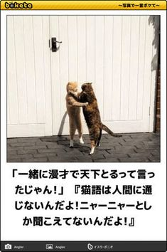 ウケた画像w：コメント3427