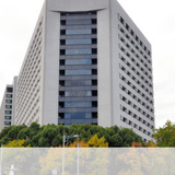 ハトに劇物食べさせ殺した疑い、大東文化大准教授を逮捕