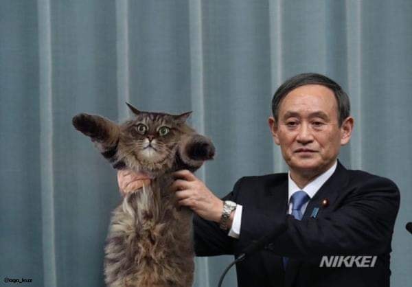 安倍首相、SMAP『世界に一つだけの花』に言及　新元号「令和」への思い：コメント38