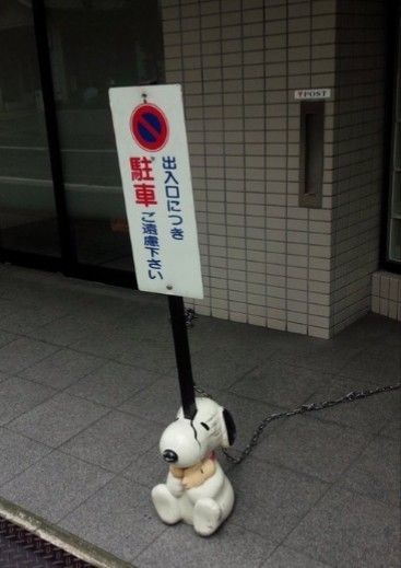 ウケた画像w：コメント3490