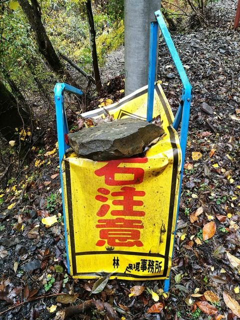 ウケた画像w：コメント3485