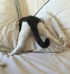 ウケた画像w：コメント3831