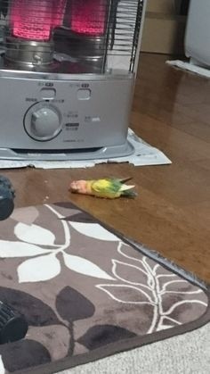 ウケた画像w：コメント3833