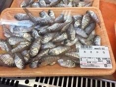 ウケた画像w：コメント3854