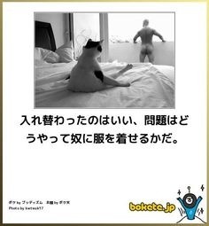 ウケた画像w：コメント3848