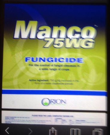 ウケた画像w：コメント3651