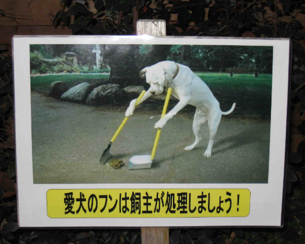 ウケた画像w：コメント4022