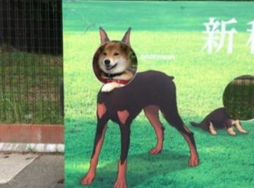 ウケた画像w：コメント4104