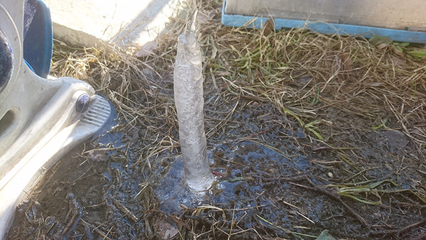 ウケた画像w：コメント4115