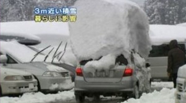 ウケた画像w：コメント4185