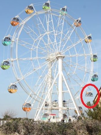 ウケた画像w：コメント4180