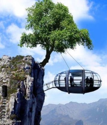 ウケた画像w：コメント4197