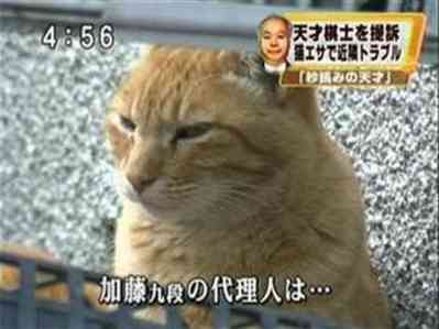 ウケた画像w：コメント4225