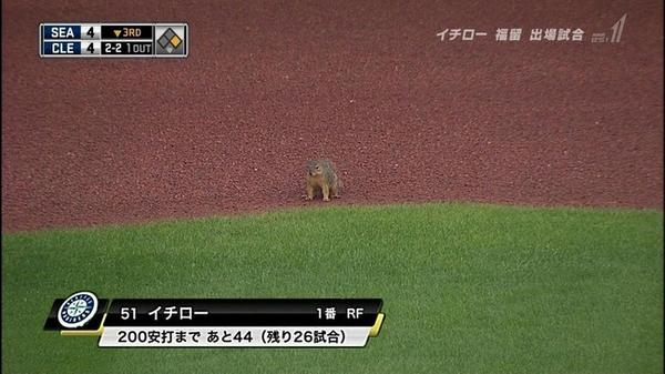 ウケた画像w：コメント4252