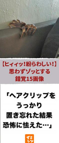 ウケた画像w：コメント4349