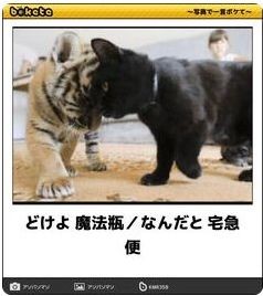 ウケた画像w：コメント3948