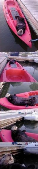 ウケた画像w：コメント3980