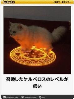 ウケた画像w：コメント3963