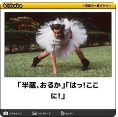 ウケた画像w：コメント3951