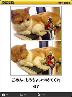 ウケた画像w：コメント3984