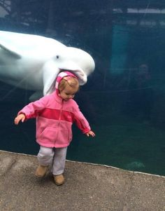 ウケた画像w：コメント4012