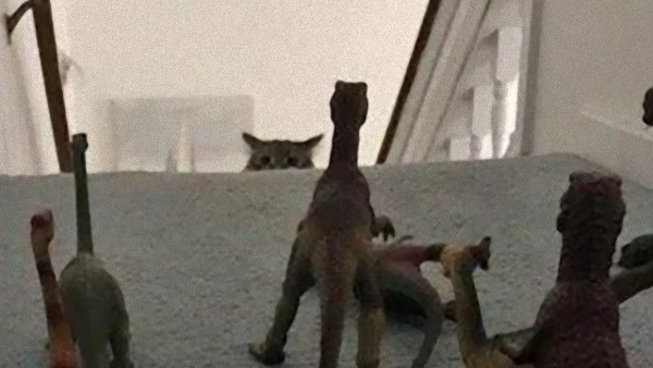 ウケた画像w：コメント4481