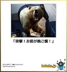 ウケた画像w：コメント4529