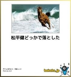 ウケた画像w：コメント4533